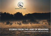 Stories from the land of meadows