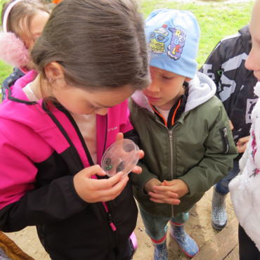 Deti skúmajú tvory, ktoré našli.