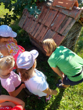 The insect house teaches children about adaptation.