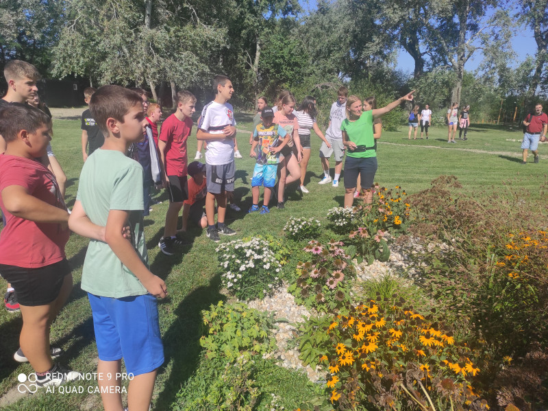 Getting to know how a rain garden works.