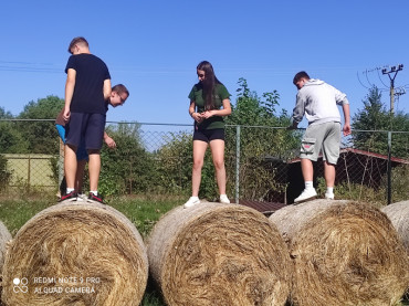 Students will experience climbing a hay bale onto it.
