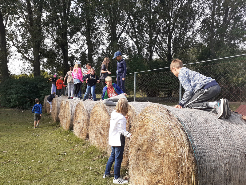 Climbing the hay bales is an experience.