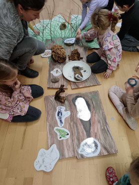 Kindergarten students get to know the willow tree and the living creatures that are connected to it.