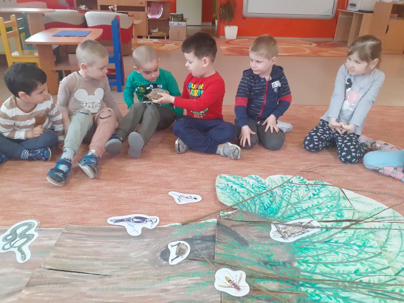 A gyerekek különféle természeti alkotásokat figyelnek meg, amelyek a fűzfán mit élőhelyen előfordulhatnak.