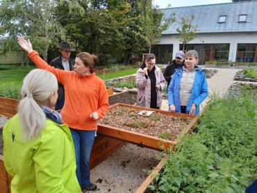 green roof