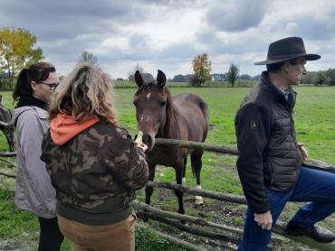 on the pasture 1