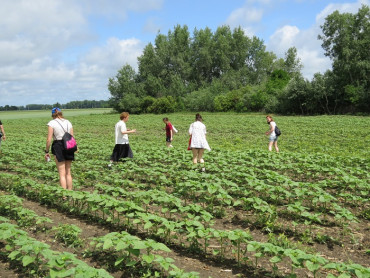 Visitors collect the insects on the agricultural land.