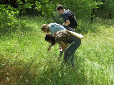 Visitors collect the insects on meadow.